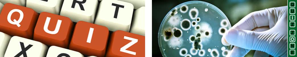 ADDucation Free Science and Technology Online Quizzes - Fun facts and figures